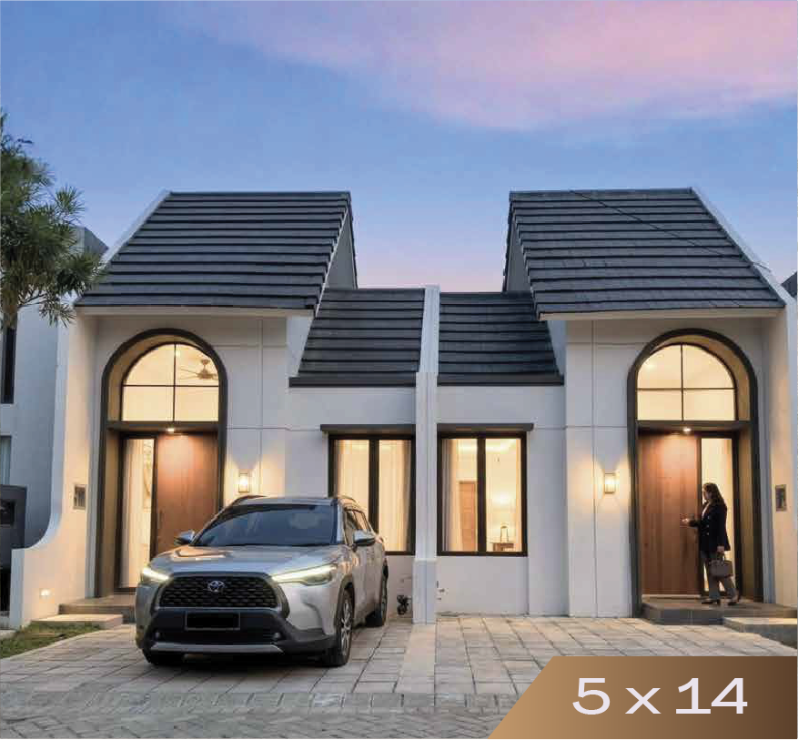 Asset 50